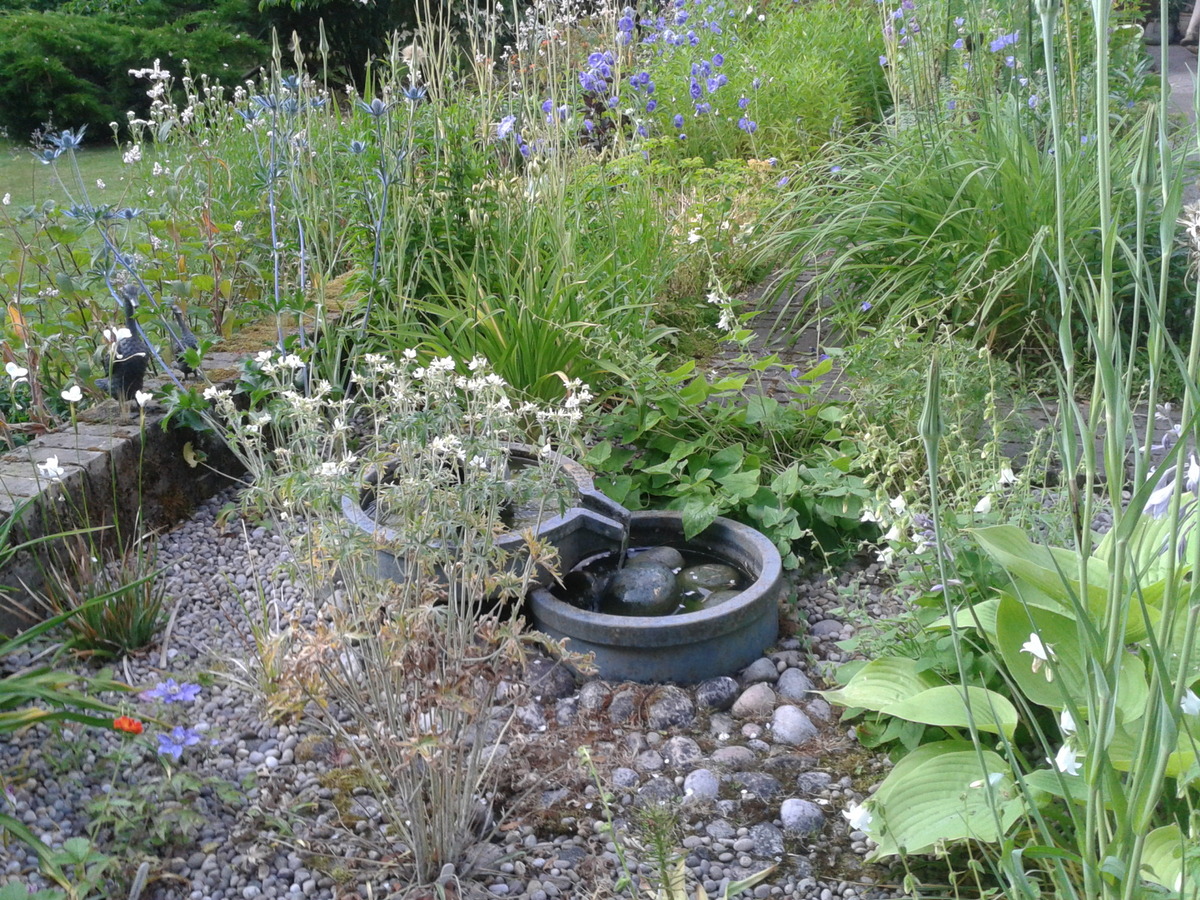 Gravel Garden